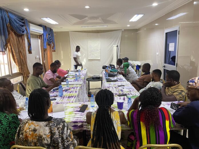 Vue des participant.e.s à la formation sur les IST et autres affections anales et génitales à Bobo-Dioulasso